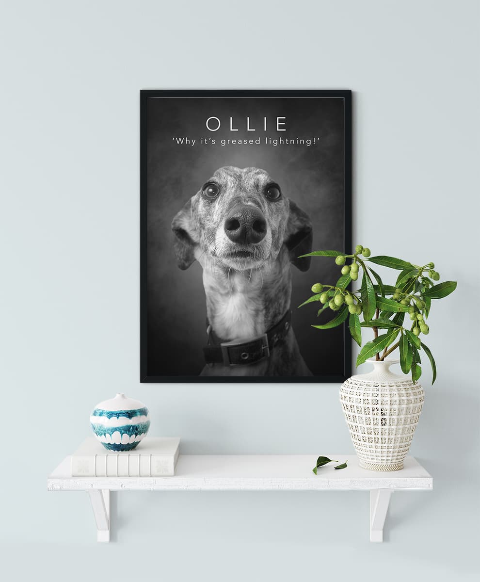 Studio Black & White