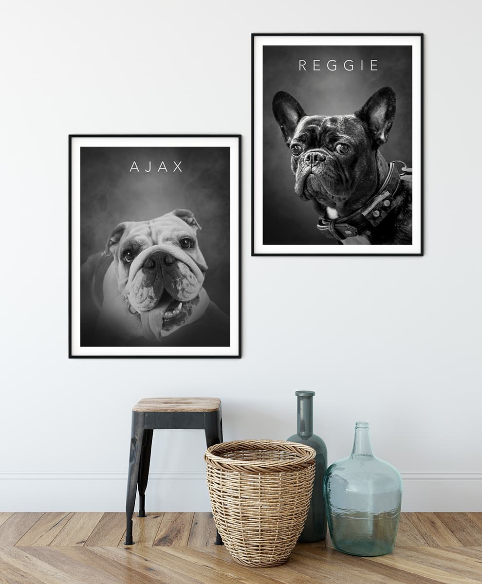 Studio Black & White - Image 3