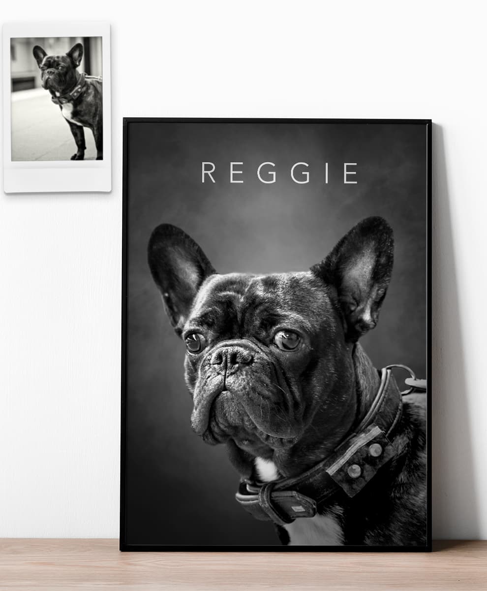 Studio Black & White - Image 7