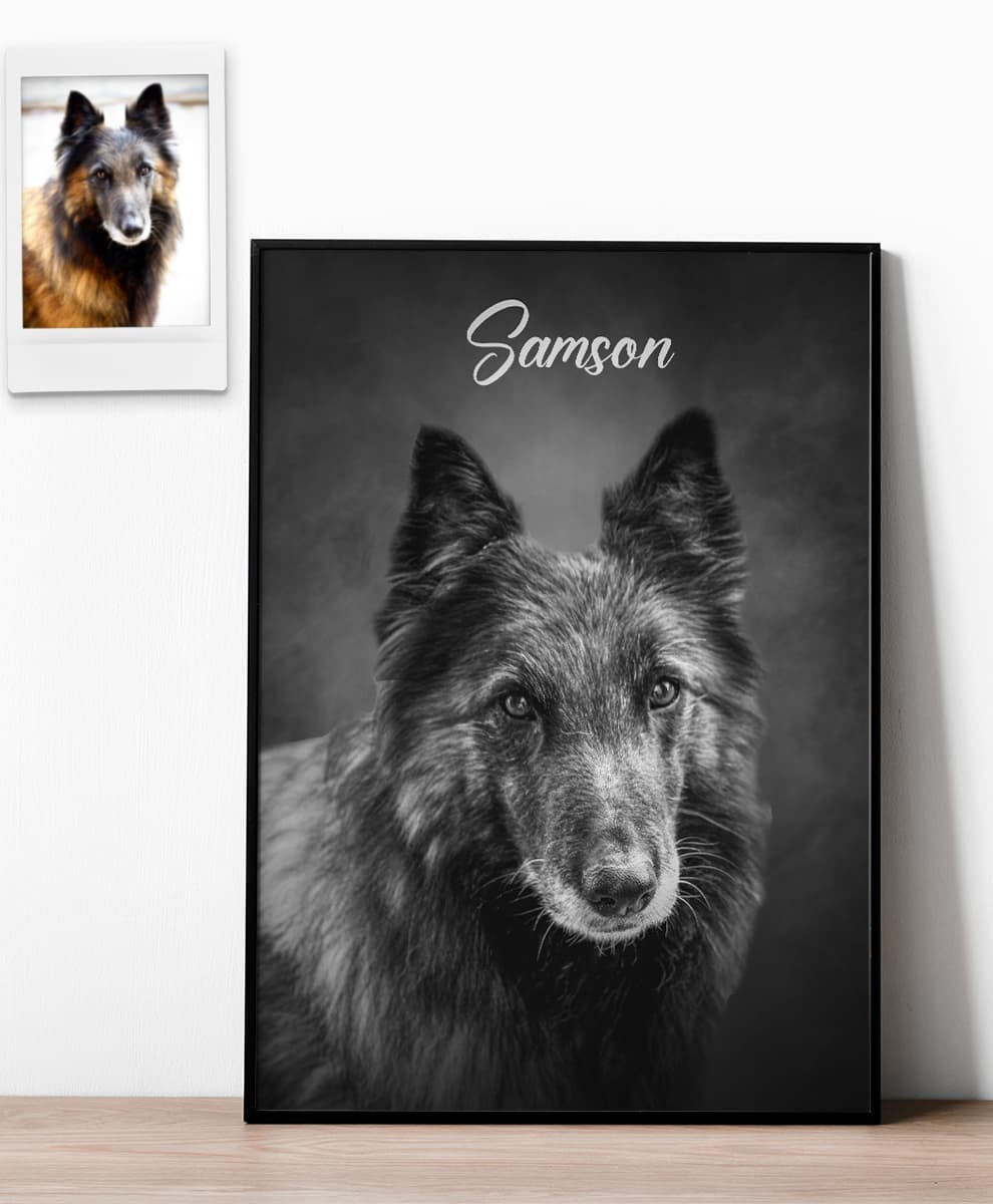 Studio Black & White - Image 6