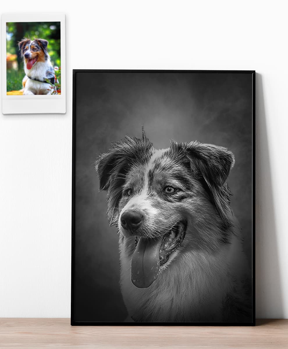 Studio Black & White - Image 5