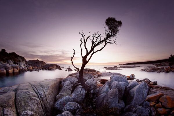 Binalong Bay Sunrise 03