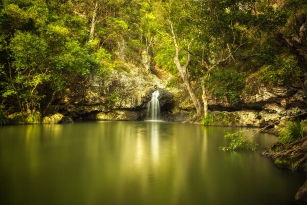 Kondalilla Falls 01