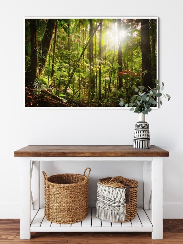 Rainforest 01 - Image 4